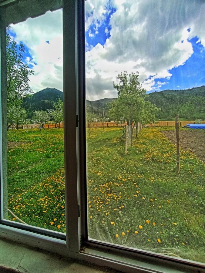 Guesthouse Mamuka Zhabesh Zhabeshi Exterior foto