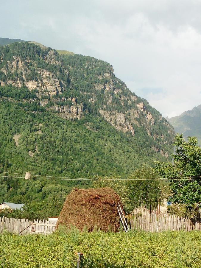 Guesthouse Mamuka Zhabesh Zhabeshi Exterior foto