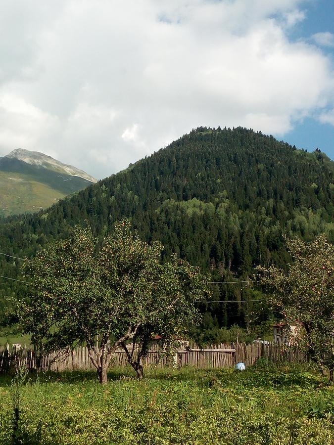 Guesthouse Mamuka Zhabesh Zhabeshi Exterior foto